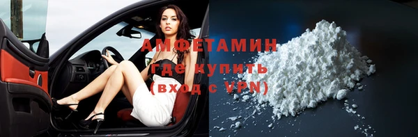 прущие грибы Бородино