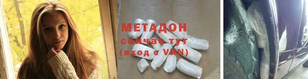 прущие грибы Бородино