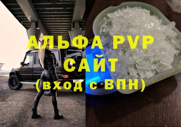 прущие грибы Бородино