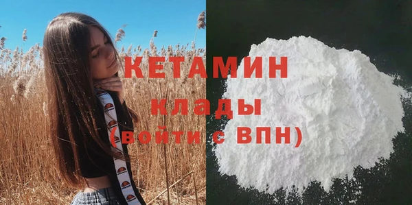 прущие грибы Бородино