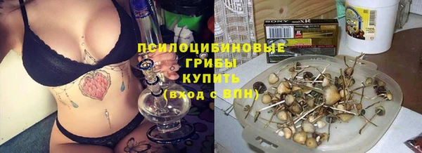 винт Богородск
