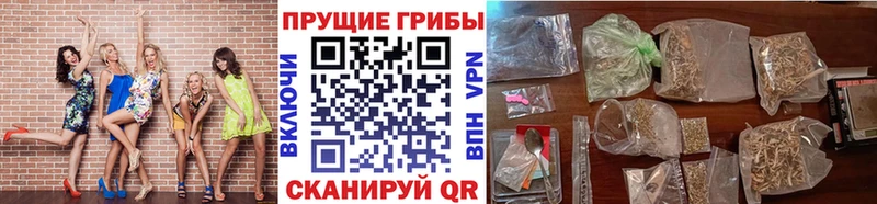 Псилоцибиновые грибы мицелий Минеральные Воды